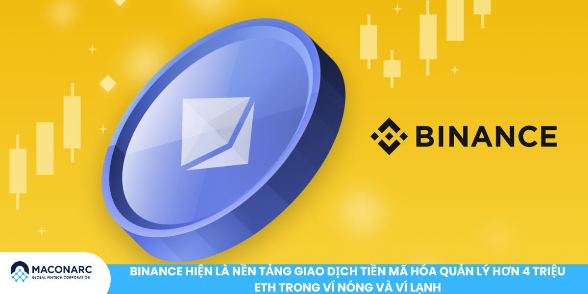 Ai nắm giữ nhiều ETH nhất năm 2025? Top cá voi ETH và ảnh hưởng thị trường Binance hiện là nền tảng giao dịch tiền mã hóa quản lý hơn 4 triệu ETH trong ví nóng và ví lạnh