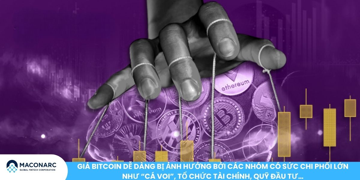 Ai đang thao túng Bitcoin? Sự thật đằng sau biến động giá tiền điện tử Giá Bitcoin dễ dàng bị ảnh hưởng bởi các nhóm có sức chi phối lớn như “cá voi”, tổ chức tài chính, quỹ đầu tư…