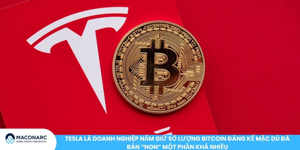 Ai sở hữu nhiều Bitcoin nhất? Toàn cảnh “Cá voi Bitcoin” trên thị trường Tesla là doanh nghiệp nắm giữ số lượng Bitcoin đáng kể mặc dù đã bán “non” một phần khá nhiều