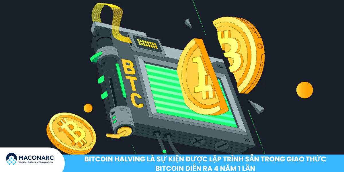 Bitcoin Halving 2024 - 2028: Lịch sử, tác động giá và chiến lược đầu tư Bitcoin Halving là sự kiện được lập trình sẵn trong giao thức Bitcoin diễn ra 4 năm 1 lần