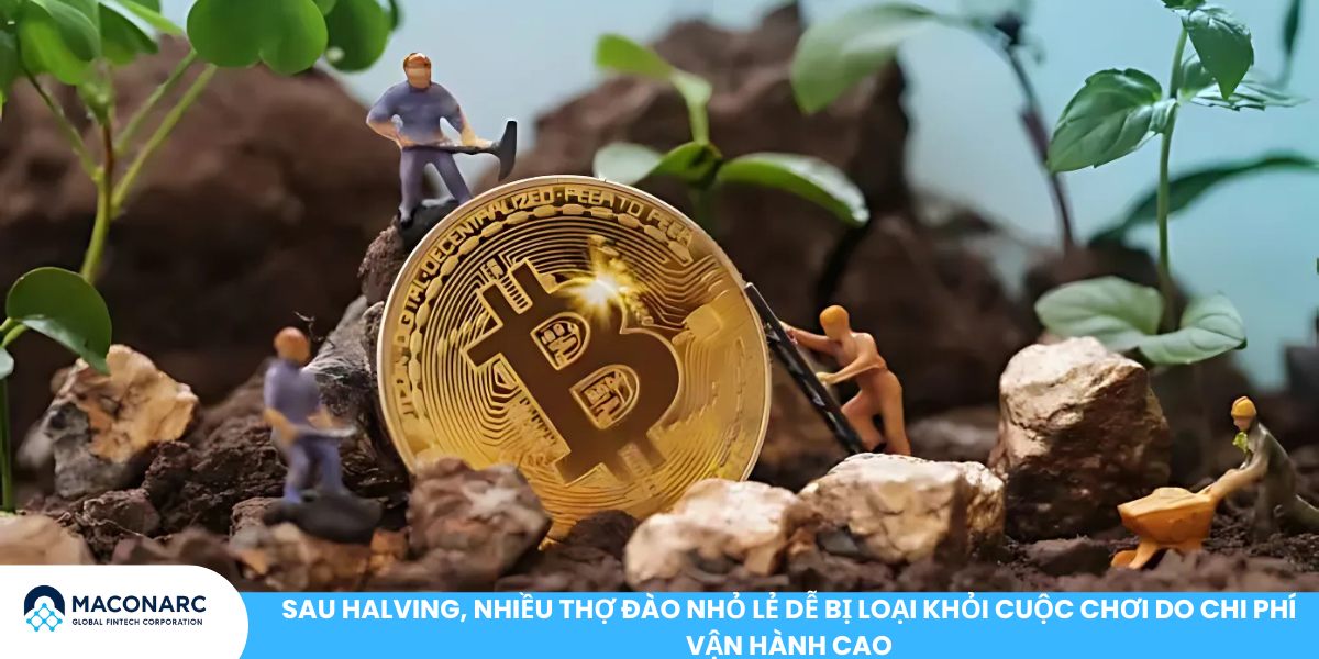Bitcoin Halving 2024 - 2028: Lịch sử, tác động giá và chiến lược đầu tư Sau Halving, nhiều thợ đào nhỏ lẻ dễ bị loại khỏi cuộc chơi do chi phí vận hành cao