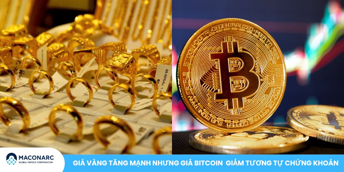 Bitcoin không phải là tiền mà là vàng số - Góc nhìn từ giới chuyên gia và thực tiễn thị trường Giá vàng tăng mạnh nhưng giá Bitcoin giảm tương tự chứng khoán