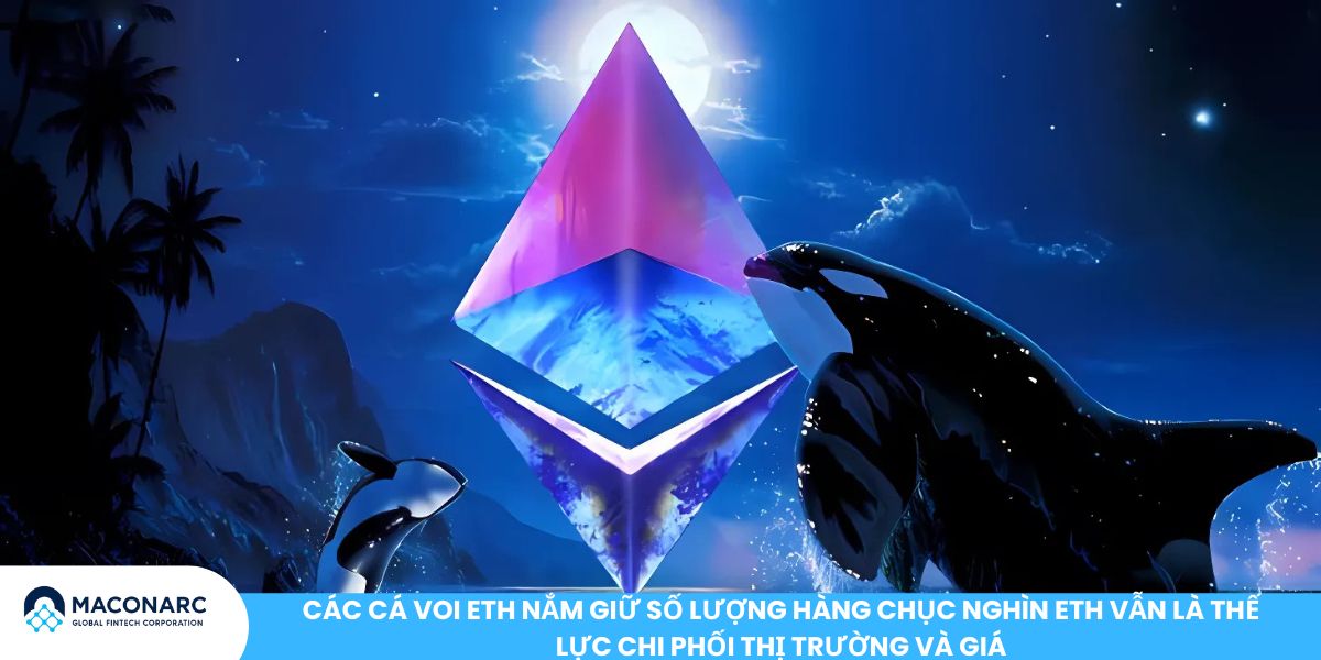 Các tổ chức nắm giữ ETH nhiều nhất 2025 - Top Holder Ethereum đang chi phối thị trường Các cá voi ETH nắm giữ số lượng hàng chục nghìn ETH vẫn là thế lực chi phối thị trường và giá