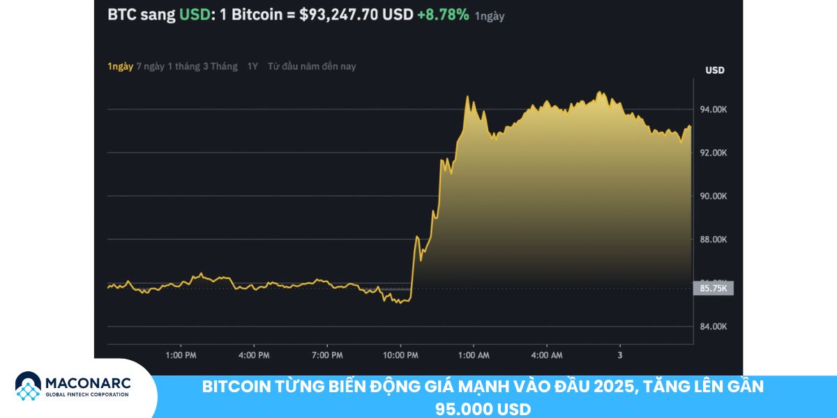 Phân tích thị trường Bitcoin hiện tại: Xu hướng, rủi ro và cơ hội đầu tư Bitcoin từng biến động giá mạnh vào đầu 2025, tăng lên gần 95.000 USD