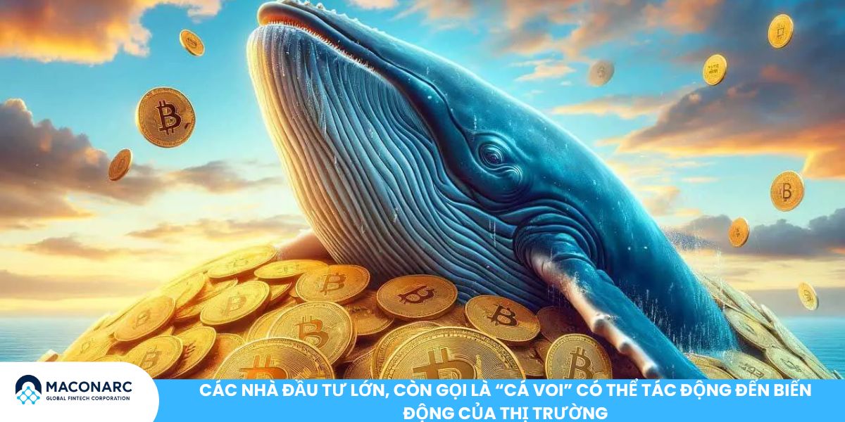 Yếu tố nào tác động đến giá của Bitcoin? Kinh tế, Chính trị hay Truyền thông Các nhà đầu tư lớn, còn gọi là “cá voi” có thể tác động đến biến động của thị trường