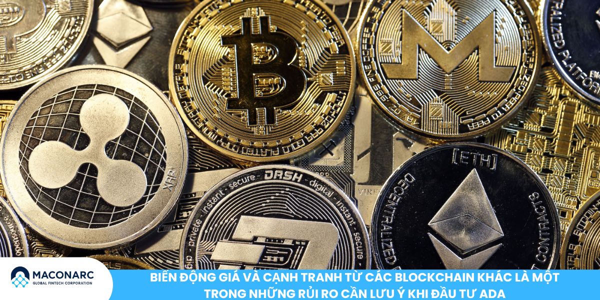 Biến động giá và cạnh tranh từ các blockchain khác là một trong những rủi ro cần lưu ý khi đầu tư ADA