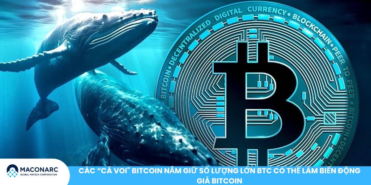 Các cá voi Bitcoin nắm giữ số lượng lớn BTC có thể làm biến động giá Bitcoin