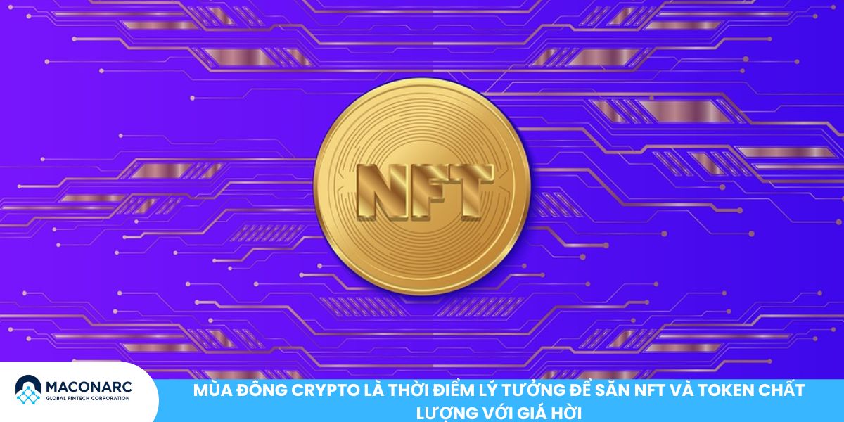 Mùa đông crypto là thời điểm lý tưởng để săn NFT và token chất lượng với giá hời