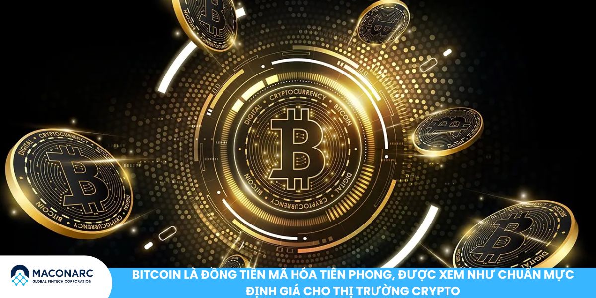 Bitcoin là đồng tiền mã hóa tiên phong, được xem như chuẩn mực định giá cho thị trường crypto