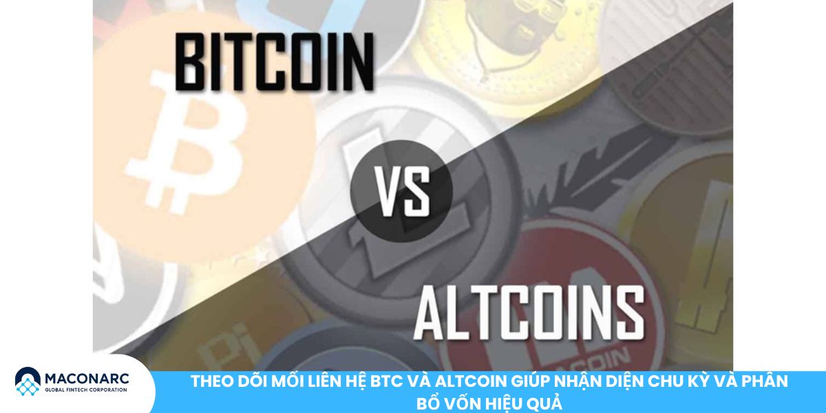 Theo dõi mối liên hệ BTC và Altcoin giúp nhận diện chu kỳ và phân bổ vốn hiệu quả