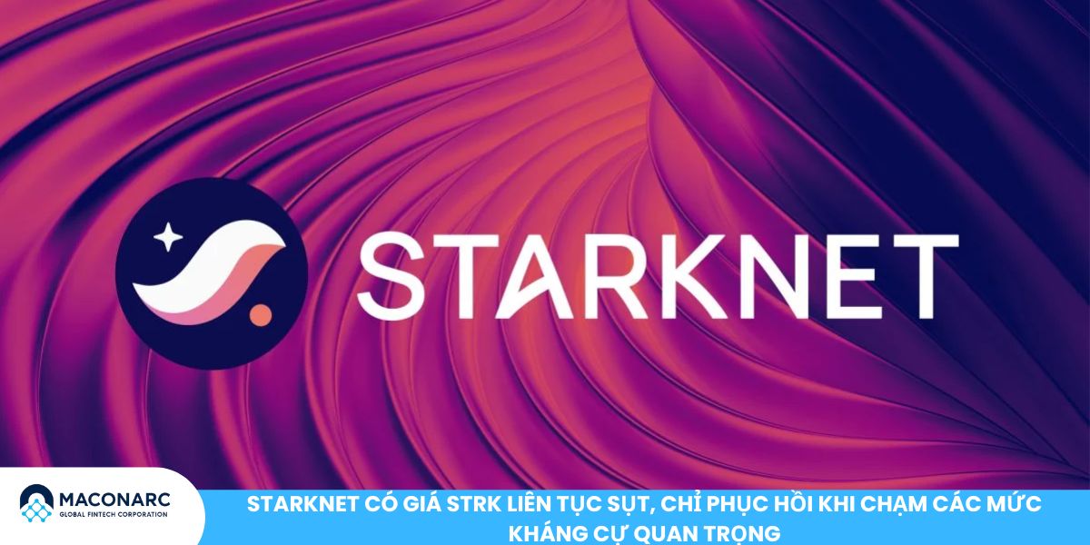 Top Altcoin gây thất vọng nhất 2025 - 2026: Danh sách đầu tư nên cân nhắc StarkNet có giá STRK liên tục sụt, chỉ phục hồi khi chạm các mức kháng cự quan trọng