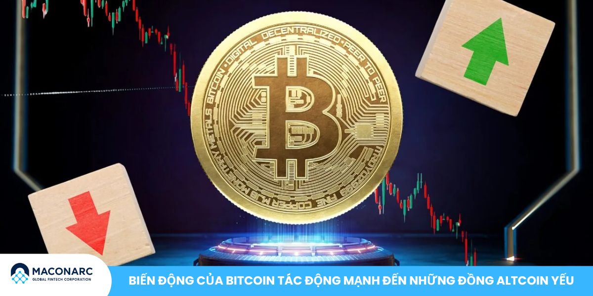 Top Altcoin gây thất vọng nhất 2025 - 2026: Danh sách đầu tư nên cân nhắc Biến động của Bitcoin tác động mạnh đến những đồng Altcoin yếu